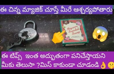 👉చీమల పైన 🤫ఫేస్ పౌడర్ వేసి👌👌👍 చూడండి కచ్చితంగా షాక్🤷 అవుతారు#shorts#viral#usefultips#